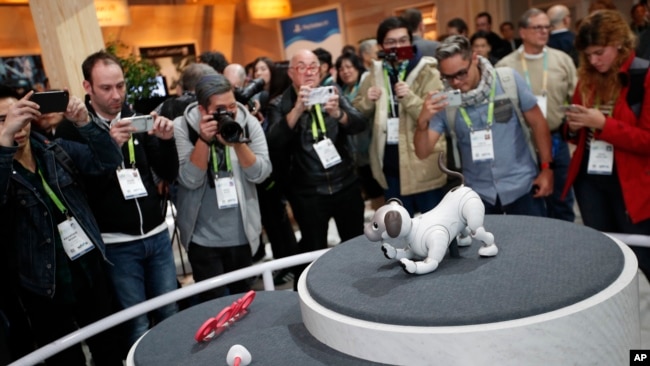 The Aibo robot dog is on display at the Sony booth after a news conference at CES International, Monday, Jan. 8, 2018, in Las Vegas. (AP Photo/John Locher)