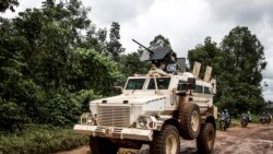 L’armée régulière de la RDC affirme avoir neutralisé plus de 80 rebelles