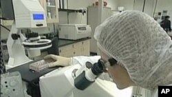 圖為研究人員正在從事胚胎幹細胞研究工作