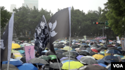 “929撑港·反极权”台港大游行9月29日下午在台北冒雨举行。