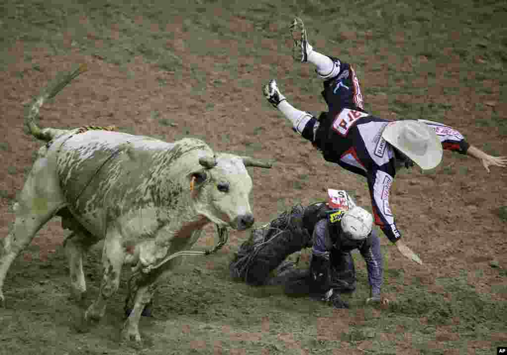 Chuck Swisher terlempar ke udara setelah terkena tandukan banteng bernama Cajun Smurf, saat ia berusaha melindungi rekannya Trey Benton (bawah) dalam acara Rodeo di Las Vegas, Nevada, AS.