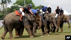 Polo players, sitting behind mahouts as they guide elephants, compete for the ball during an elephant polo match in Bangkok, Thailand, March 9, 2017. The annual King's Cup Elephant Polo charity event raises funds for projects that better the lives of Thailand's wild and domesticated elephant population. 