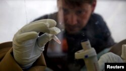 FILE - A scientist separates blood from plasma cells to isolate any Ebola RNA to test for the virus at the European Mobile Laboratory in Gueckedou, Guinea.