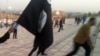 امریکہ: داعش میں شمولیت کی کوشش پر ایک شخص کو آٹھ سال قید کی سزا