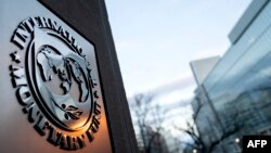 FILE - The seal for the International Monetary Fund is seen in Washington, D.C., Jan. 10, 2022.