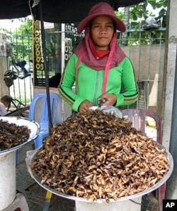 Insect merchant in Cambodia