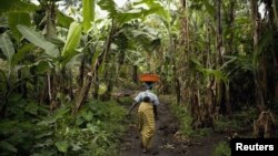 A Congolese woman carries her baby and personal belongings through a banana plantation near the town of Rangira, affected by recent fighting between government forces and rebels around North Kivu in eastern Democratic Republic of Congo