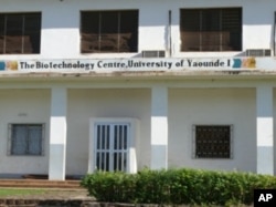 University of Yaounde (Cameroon) TB