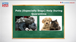 TALK2US: Pets Help During Quarantine