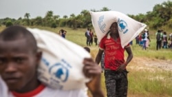 에볼라 사태, 식량 안보도 위협