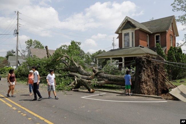 Residents walk past a fallen tree following a tornado that struck the night before in Pendleton, Ind., May 28, 2019.