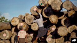 In this June 27, 2016, photo, a worker marks logs before transporting at a yard in Wuntho, northern Sagaing division, Myanmar. Myanmar is struggling to stop illegal logging that has erased one-quarter of the country’s valuable forests in a generation. 