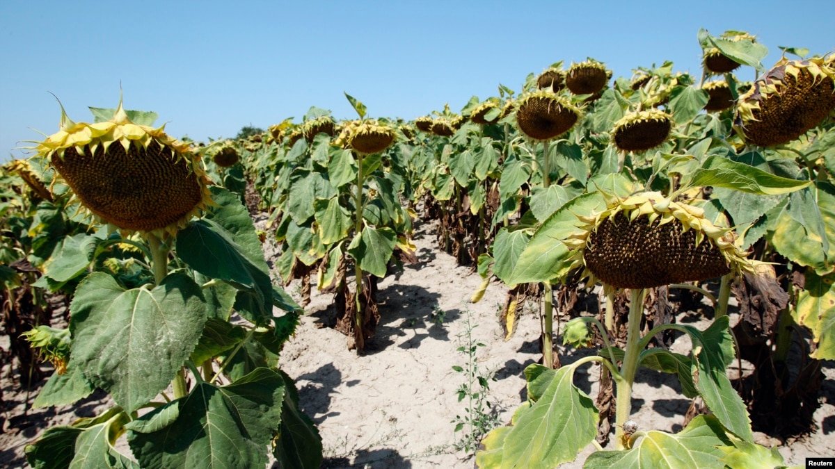 climate-change-earth-sea-and-sky-humanities-seminars-program