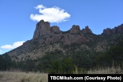 Human influence has had an impact on what used to be tracts of thick, green growth in southwestern Texas, but lush vegetation can still be found in the desert around the Chisos mountain range.