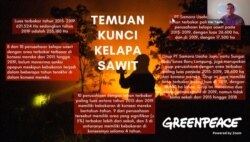 Kiki Taufik, Kepala Kampanye Hutan Global Greenpeace Asia Tenggara memaparkan temuan kunci kasus kebakaran lahan di areal perkebunan kelapa Sawit 2015-2019, 22 Oktober 2020. (Foto: VOA/Yoanes Litha)