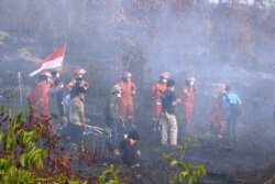 Seluruh pihak bekerja sama memadamkan kebakaran hutan dan lahan di Kalimantan Tengah. (Foto courtesy: SOB)