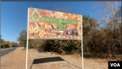 Hwange National Park ndiyo nzvimbo hombe inochengeterwa mhuka muZimbabwe. (C. Mavhunga/VOA)