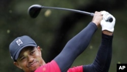 Grass flies as Tiger Woods tees off on the sixth hole during the final round of the Chevron World Challenge golf tournament in California, Dec. 5, 2010.