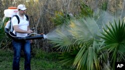 Darryl Nevins asperge un jardin d'insecticides pour limiter la propagation des moustiques, à Houston, au Texas, le 10 février 2016.