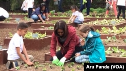 AmeriCorps Grantee Serves Up New Approach to Childhood Obesity