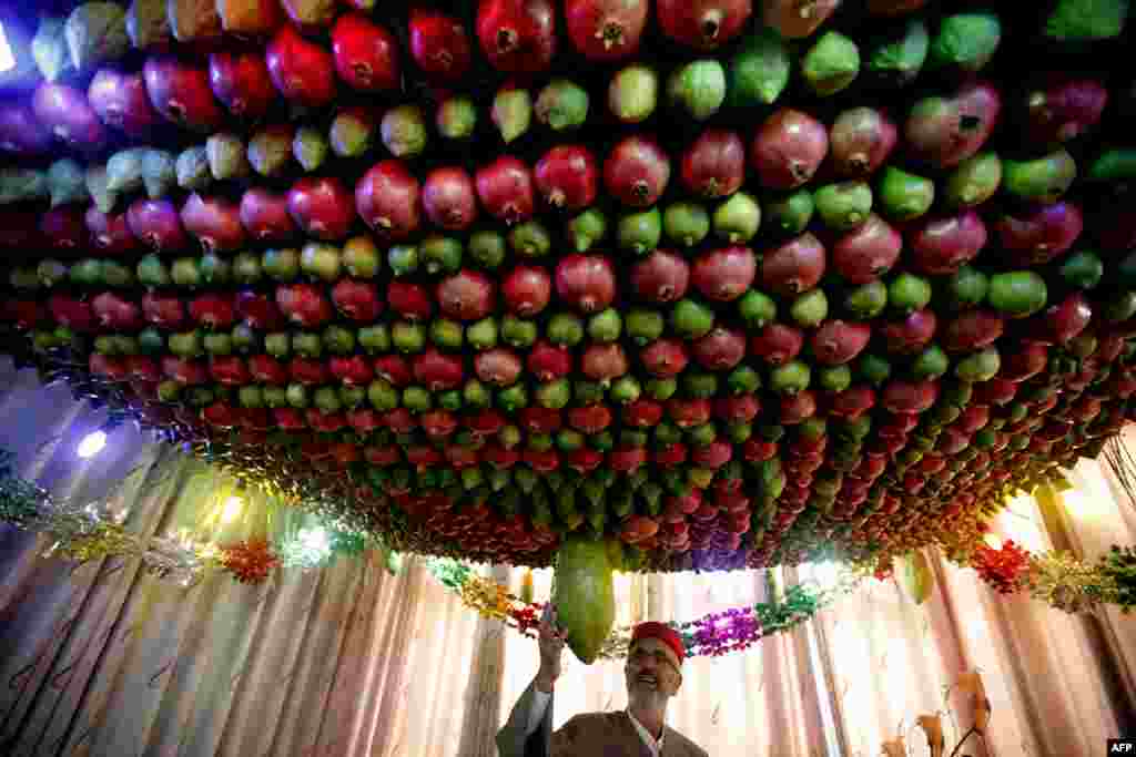 Samaritan man stands under a Sukkah made of fruits inside his house during the holiday of Sukkot (the Tabernacles Feast) celebrations on Mount Gerizim near the northern West Bank city of Nablus, Oct. 20, 2013. 