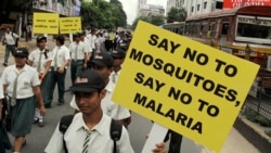 World Malaria Day 2014