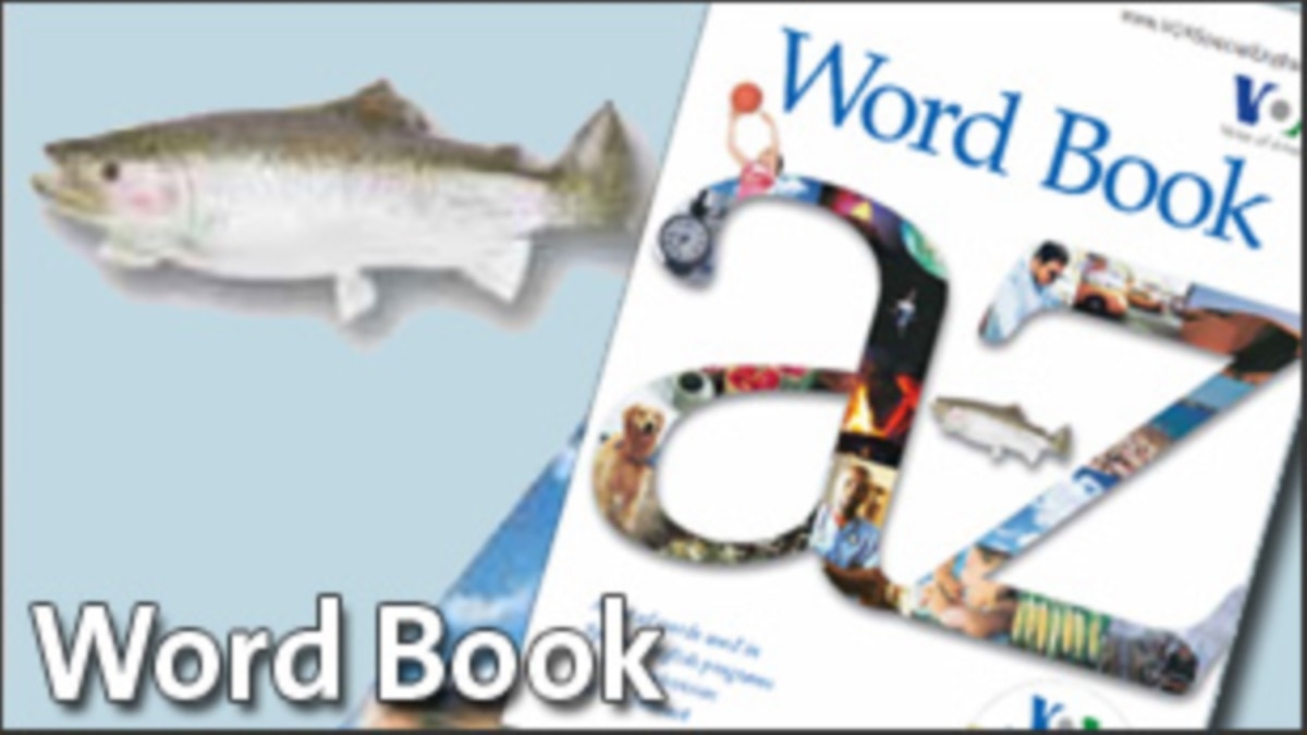 voa wordbook