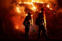کیلی فورنیا کے جنگلات میں فائر فائٹرز آگ بجھانے کی کوشش کر رہے ہیں۔ 28 جولائی 2021