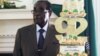 Mugabe Supporters Back Controversial Presidential Birthday Bash