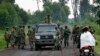 Exército da RDC mata duas dezenas de rebeldes do M23