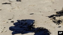 Излеаната нафта дојде до Езерото Пончатреин во Њу Орлеанс