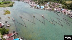 Pagar Sogili, sebuah tradisi turun temurun oleh masyarakat setempat menangkap ikan Sidat di aliran sungai Danau Poso. (Foto: VOA/Yoanes)Litha