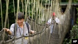 Des touristes dans la forêt au Ghana, le 24 août 2008.