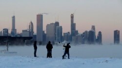 Quiz - What Is the Polar Vortex?