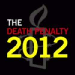 国际特赦组织2012年死刑报告的图标（amnesty international Site截图）