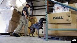 A worker and dog go through training last year for the U.S. Transportation Security Agency. In the last year, the TSA filled thousands of jobs to keep security waits manageable at Americanairports.