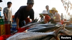 Cá bày bán ở Nha Trang. Mỹ là thị trường nhập khẩu hải sản lớn nhất của Việt Nam, chiếm hơn 20% tổng sản lượng của ngành công nghiệp xuất khẩu hải sản trị giá 7 tỷ đô la hàng năm.