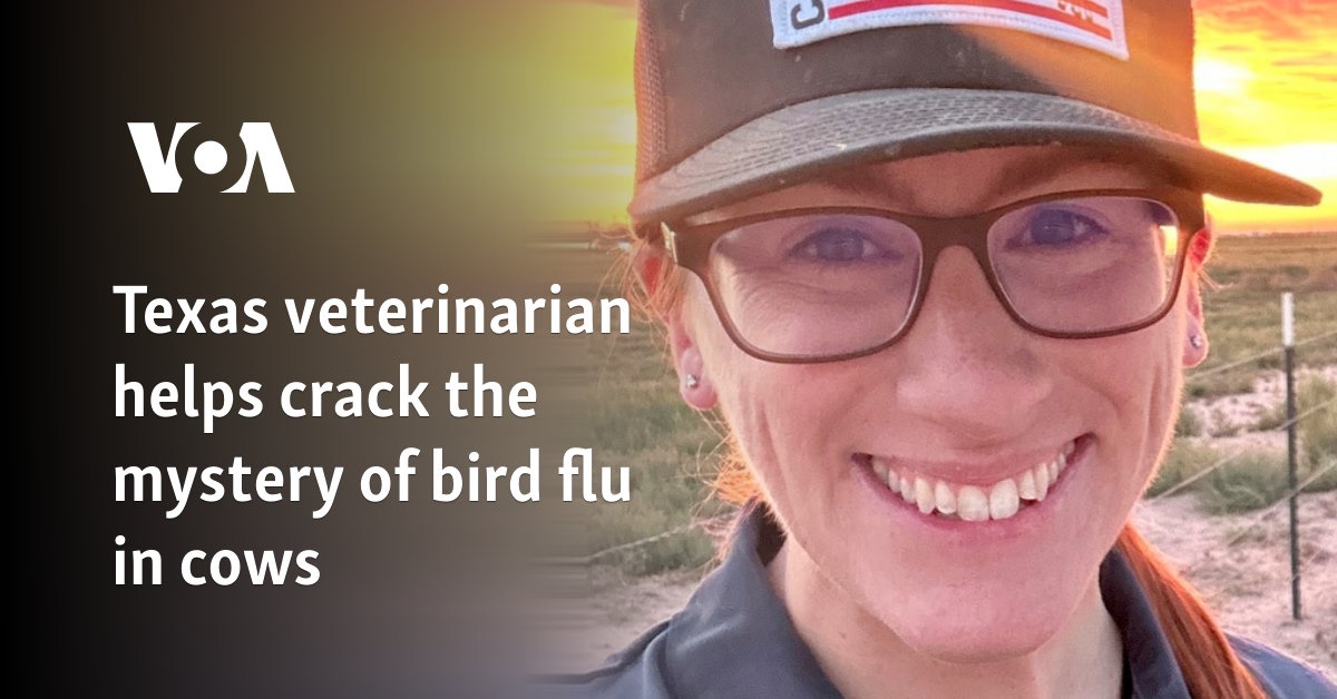 Texas veterinarian helps crack the mystery of bird flu in cows