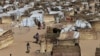 Trois morts lors d'attaques dans un camp de déplacés au Nigeria