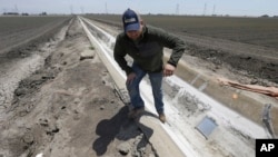 File - Farmer Gino Celli climbs out of a irrigation canal that is covered in dried salt on a field he farms near Stockton, Calif., May 2015.
