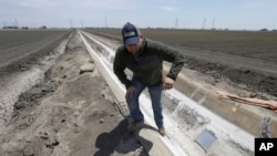 FILE - Farmer Gino Celli climbs out of a irrigation canal that is covered in dried salt on a field he farms near Stockton, Calif., May 18, 2015.