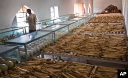 FILE - Rows of human skulls and bones form a memorial to those who died in the redbrick church that was the scene of a massacre during the 1994 genocide in Rwanda.