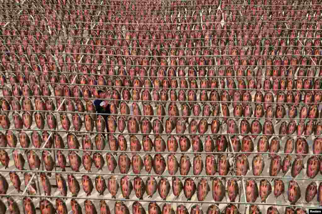 A worker hangs dried fish onto poles at a processing facility on the outskirts of Hangzhou, Zhejiang province, China, Dec. 12, 2017.