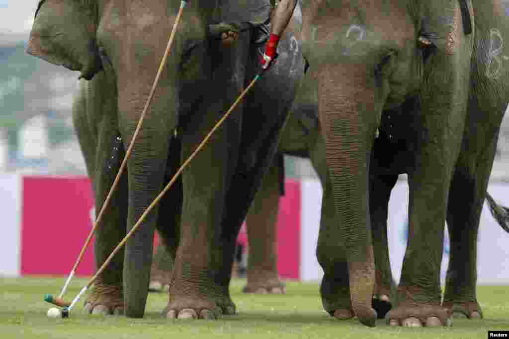 Players take part in an exhibition match during the annual charity King&#39;s Cup Elephant Polo Tournament at a riverside resort in Bangkok, Thailand.