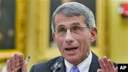 Dr. Anthony Fauci, director of the National Institute of Allergy and Infectious Diseases testifies on Capitol Hill in Washington, November 2009. (file photo)