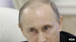 Perdana Menteri Rusia Vladimir Putin