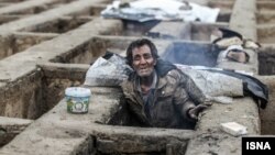 عکس گورخواب‌ها یکی از تصاویر پرکاربرد در توییت‌های کارنامه ٣٨ ساله بود