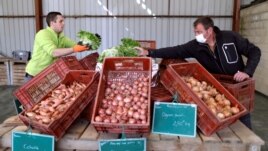Vegetable grower Didier Lenoble, wearing a protective face mask, poses among boxes with vegetable put on sell during the outbreak of Coronavirus disease (COVID-19) in Perigny-sur-Yerres, France, March 31, 2020. (REUTERS/Charles Platiau)