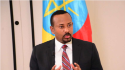 L'opposition éthiopienne ne veut aucun retard pour les législatives 2020