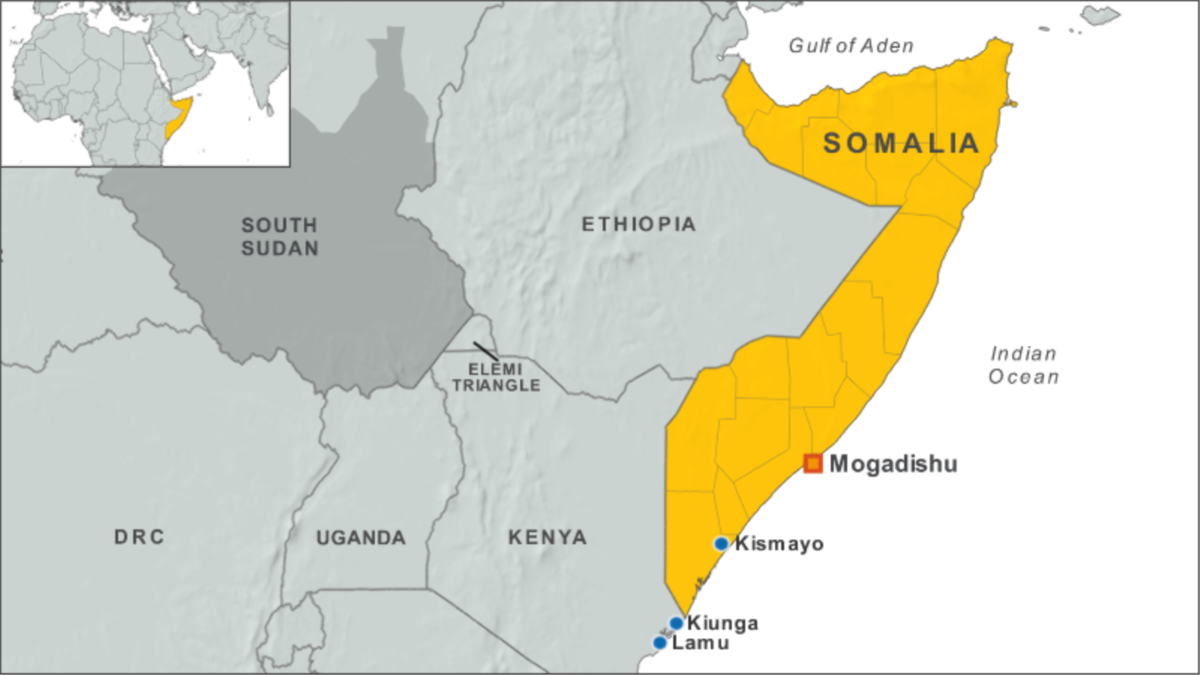 Особенности сомали страны